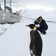 Antarctica (6)